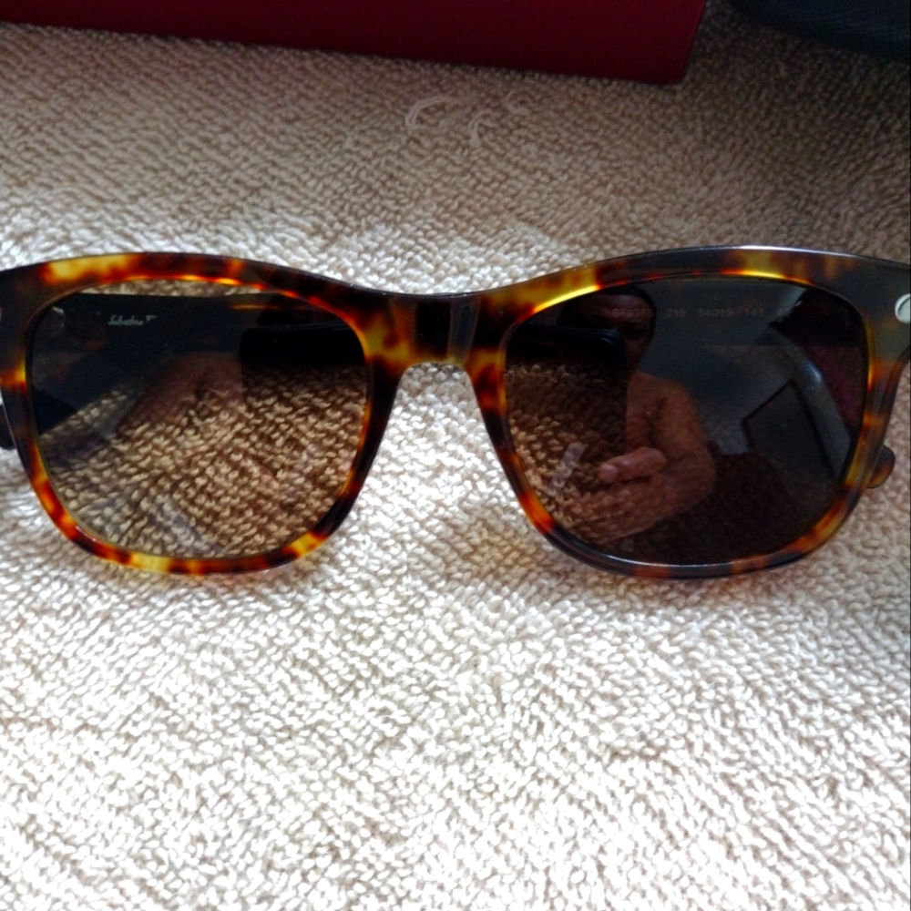 Farragamo Men Sunglasses